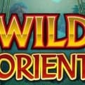 Microgaming Just Launched Wild Orient Slot Machine