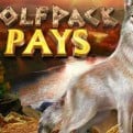 NextGen Just Launched Wolfpack Pays Slot Machine