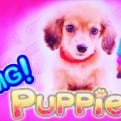 Try OMG! Puppies The New Slot From WMS