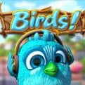 Betsoft Gaming launches their best looking slot Birds!