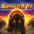 Try Buffalo Blitz The New Slot From Playtech