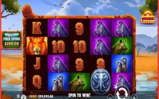 Screenshot of Savannah Legend Video Slot